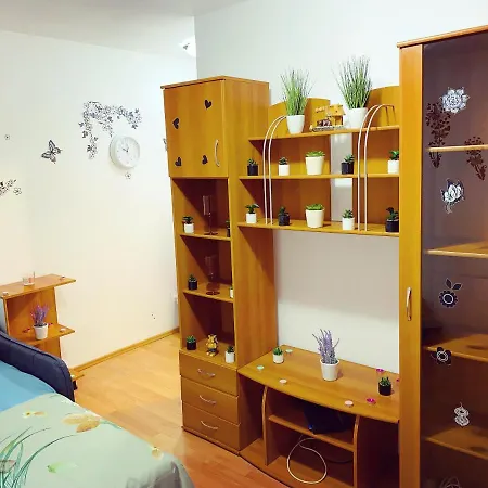 Апартаменты Casa Andu Centru Бухарест