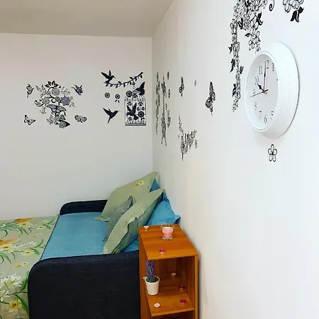Casa Andu Centru