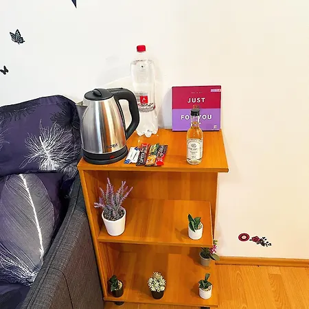 Casa Andu Centru Apartamento