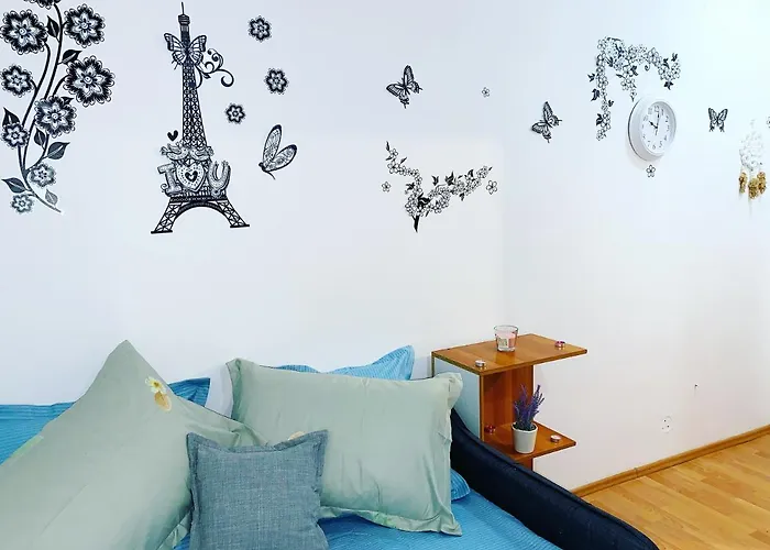 Casa Andu Centru 아파트