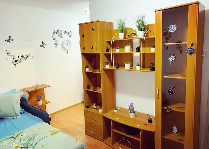 Apartment Casa Andu Centru Bucharest