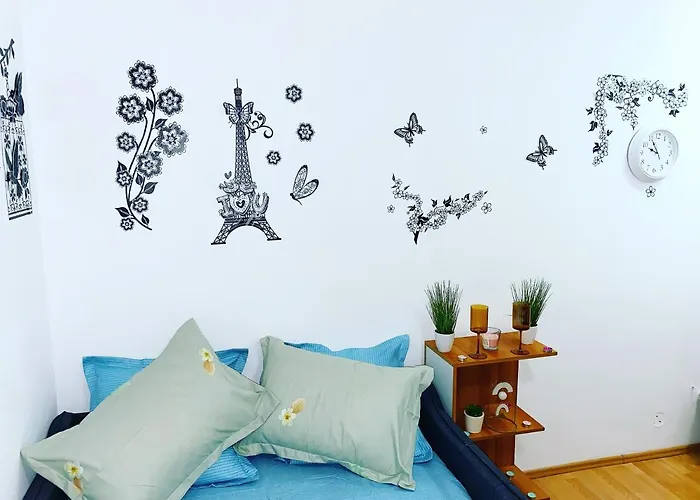 Casa Andu Centru Apartment