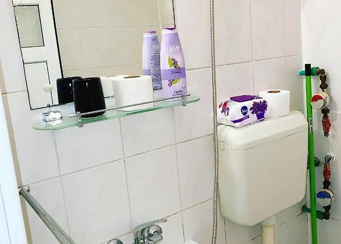 Casa Andu Centru * 布加勒斯特