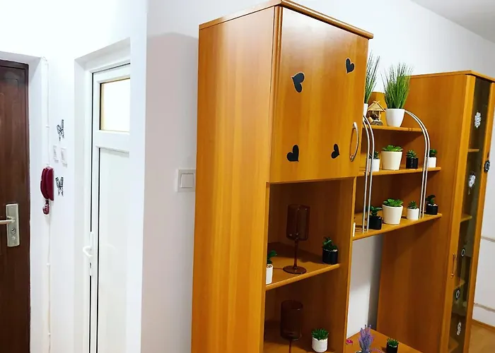 公寓 Casa Andu Centru 布加勒斯特