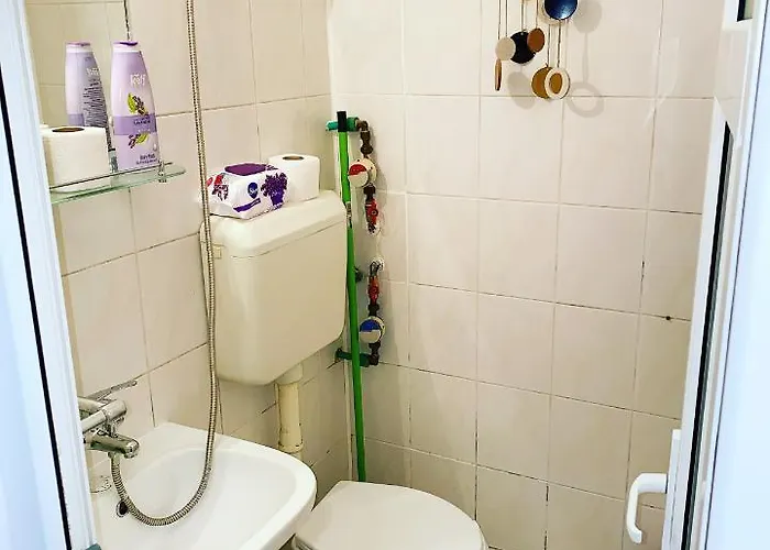 Casa Andu Centru Apartamento