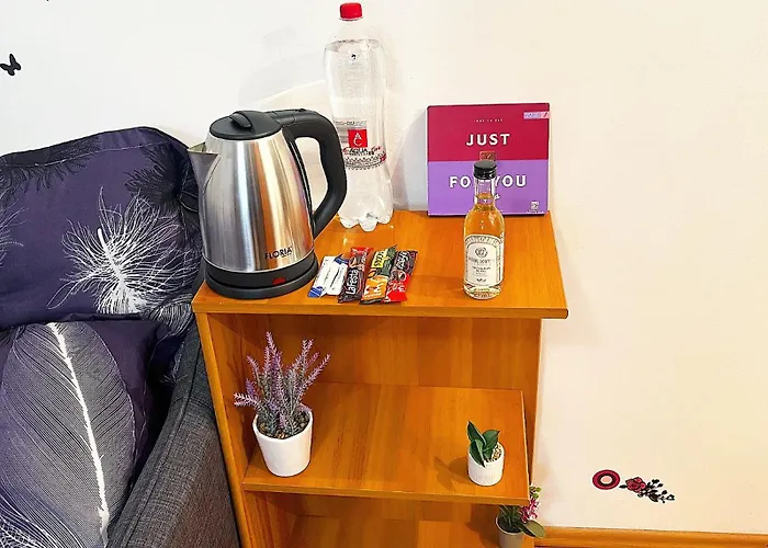 Casa Andu Centru Apartment