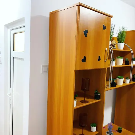 Апартаменты Casa Andu Centru Бухарест