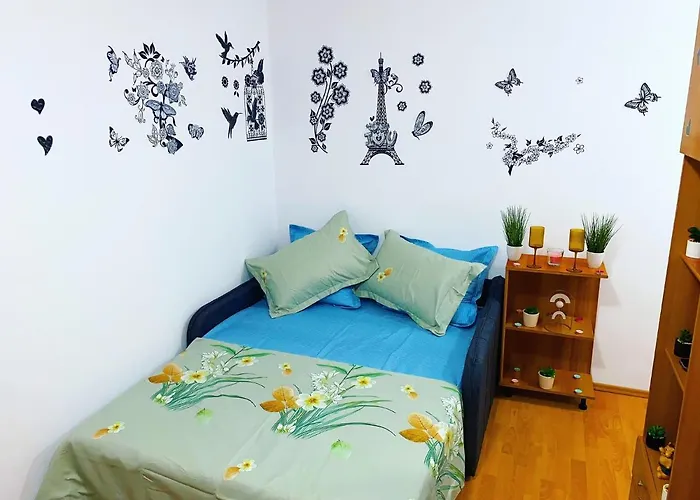 Casa Andu Centru Апартаменты *